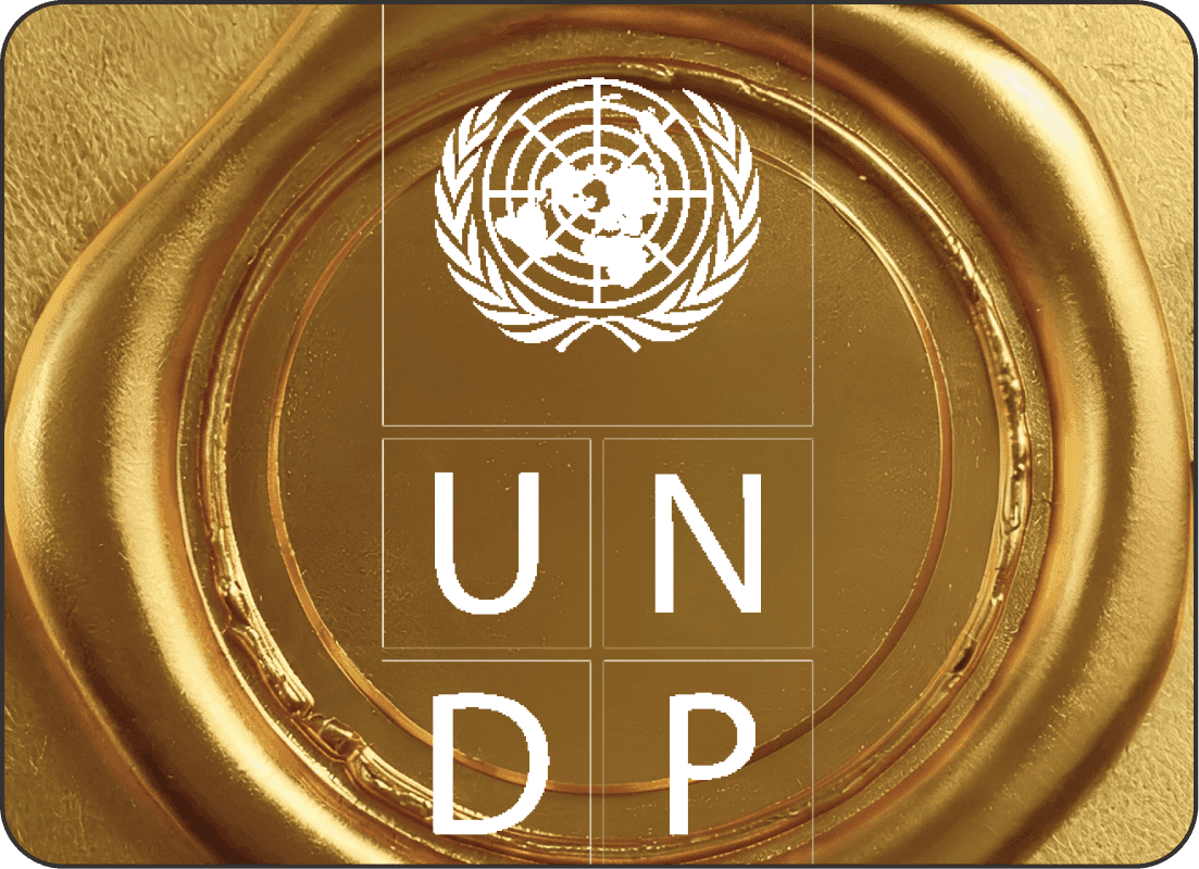 UNDP